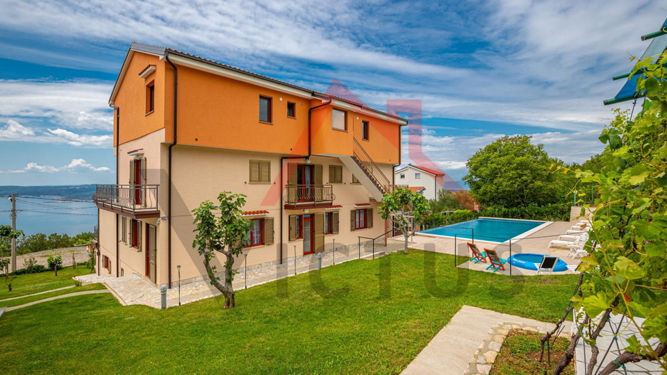 CRIKVENICA - Two houses with a swimming pool and an olive grove