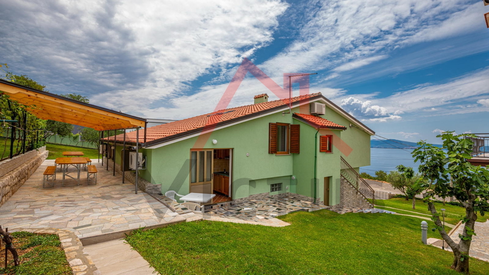 CRIKVENICA - Two houses with a swimming pool and an olive grove