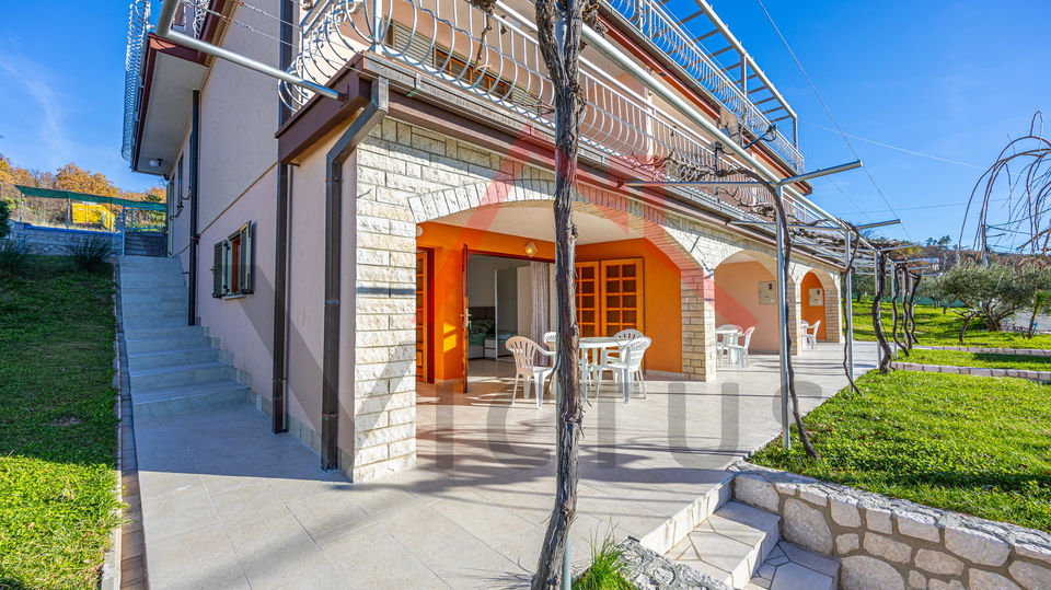 CRIKVENICA - Two houses with a swimming pool and an olive grove