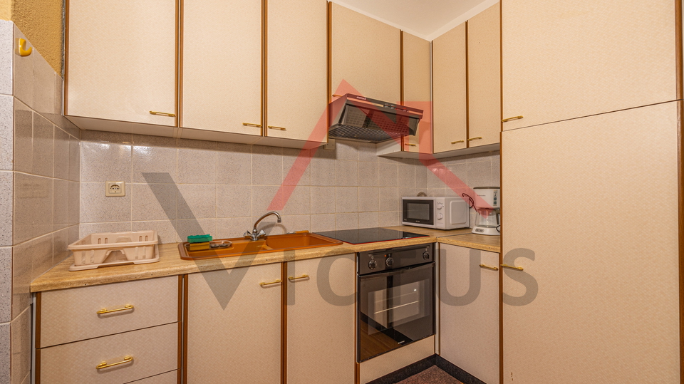 CRIKVENICA - Two houses with a swimming pool and an olive grove
