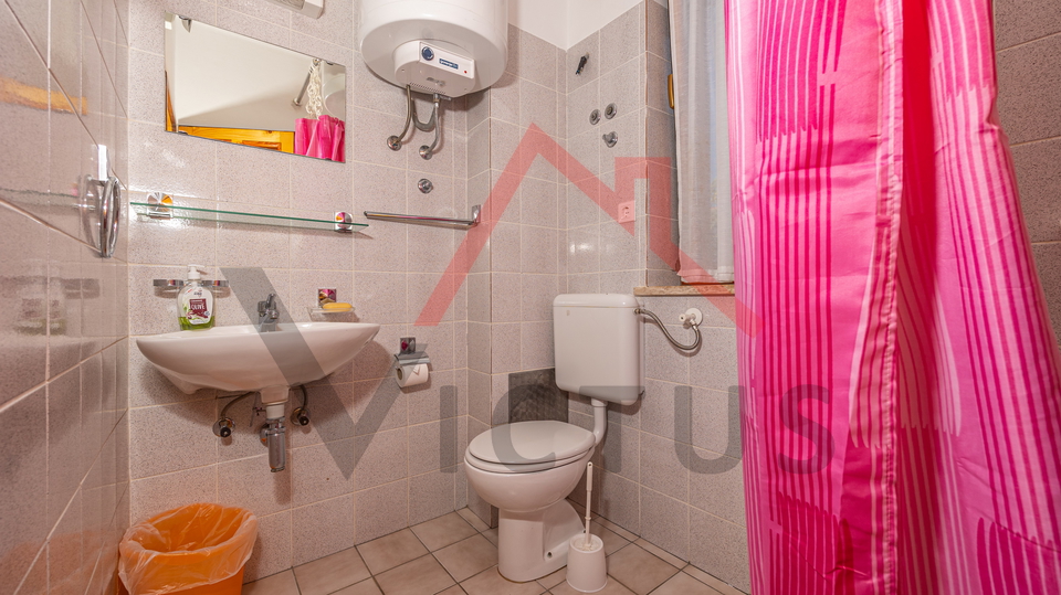 CRIKVENICA - Two houses with a swimming pool and an olive grove