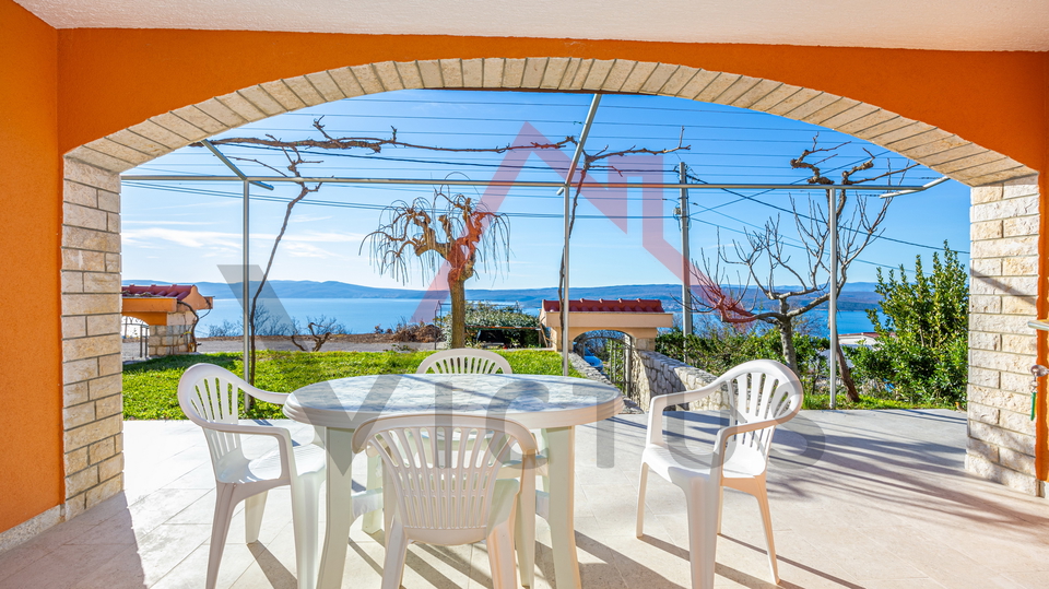 CRIKVENICA - Two houses with a swimming pool and an olive grove