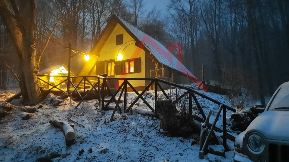 BRIBIR, LUKOVO - House in the forest