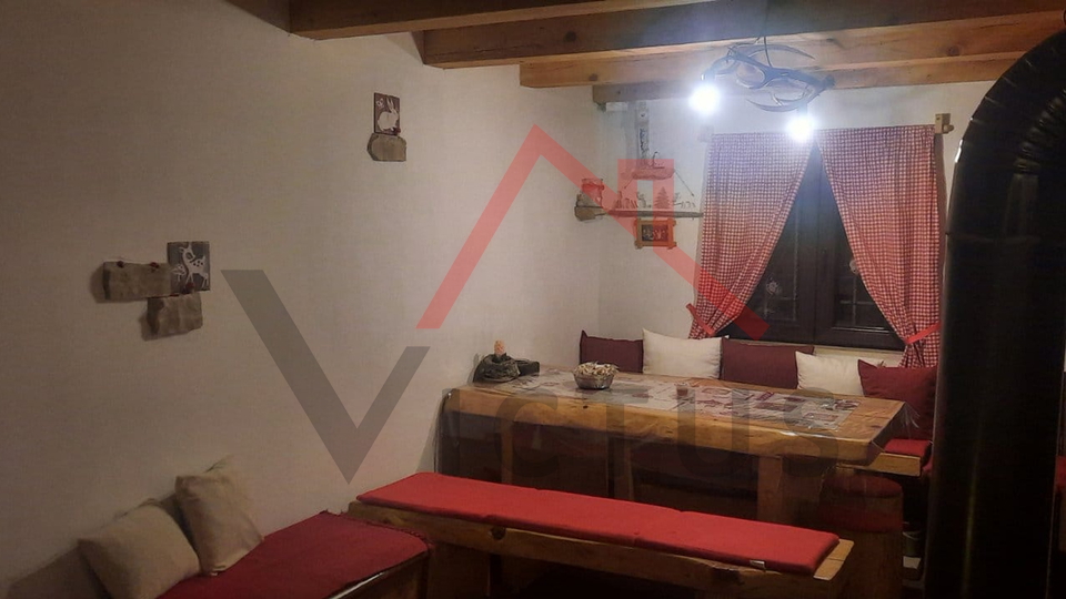 BRIBIR, LUKOVO - House in the forest