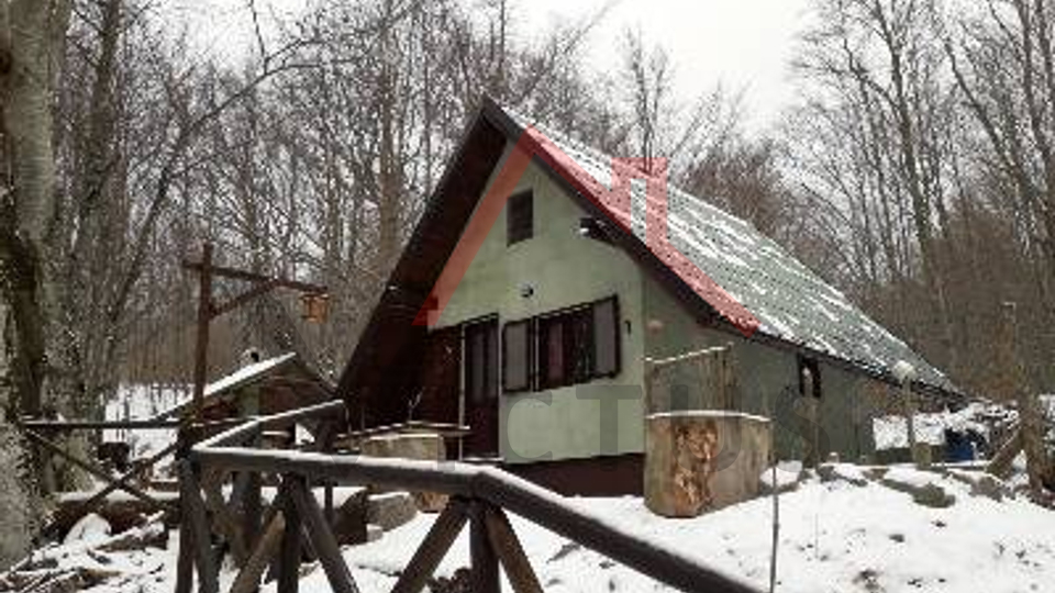BRIBIR, LUKOVO - House in the forest