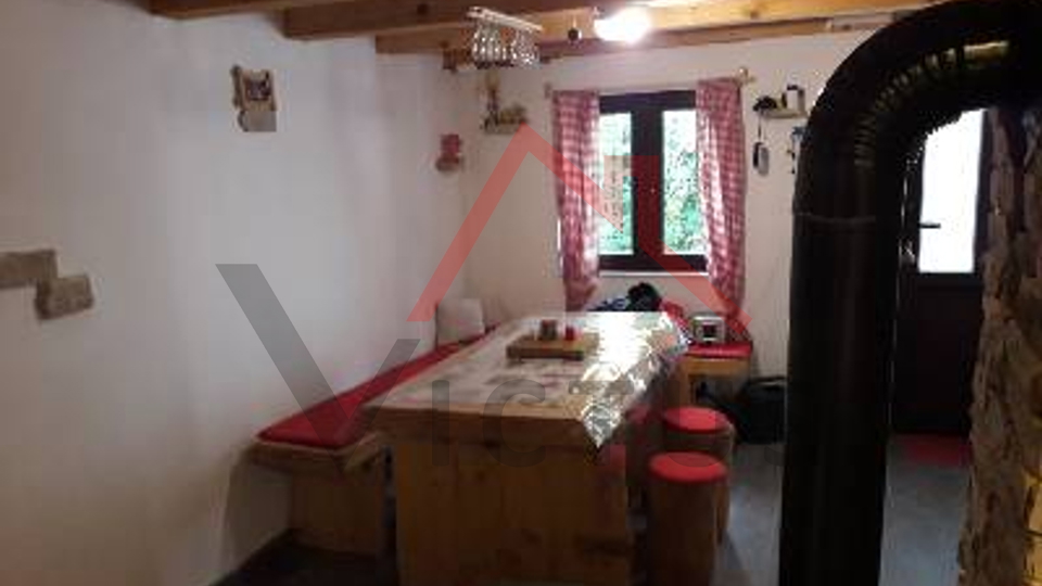 BRIBIR, LUKOVO - House in the forest