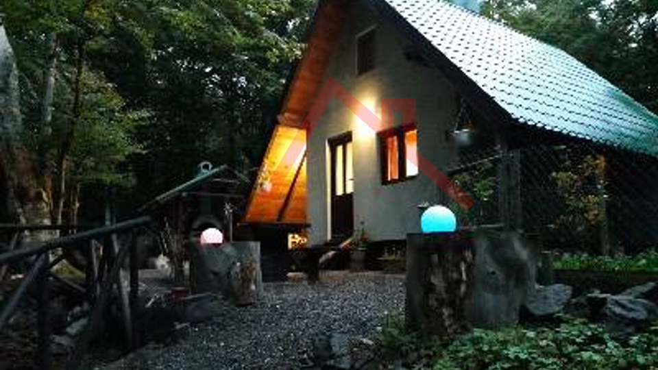 BRIBIR, LUKOVO - House in the forest