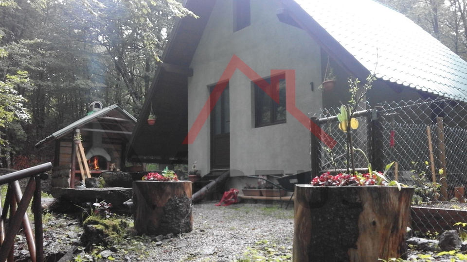 BRIBIR, LUKOVO - House in the forest