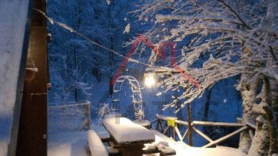BRIBIR, LUKOVO - House in the forest
