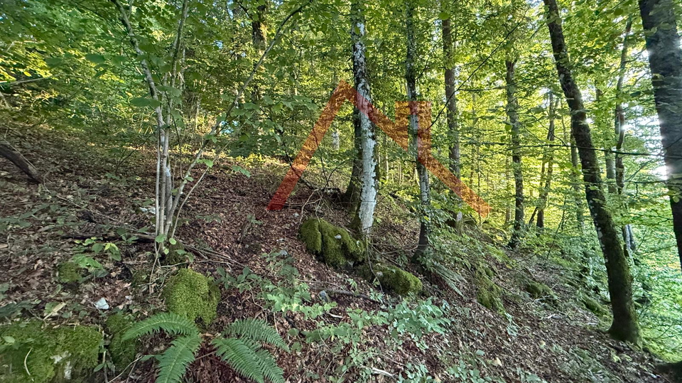 LOKVE - Građevinsko zemljište, 3072 m2