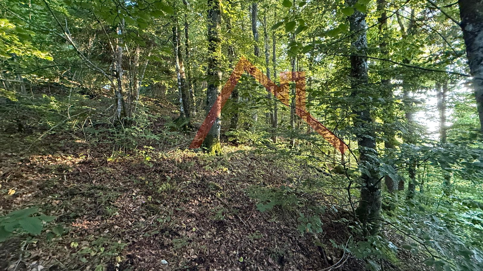 LOKVE - Građevinsko zemljište, 3072 m2