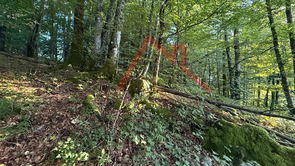 LOKVE - Građevinsko zemljište, 3072 m2