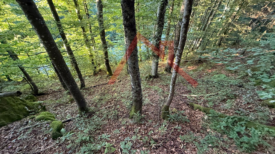 LOKVE - Građevinsko zemljište, 3072 m2
