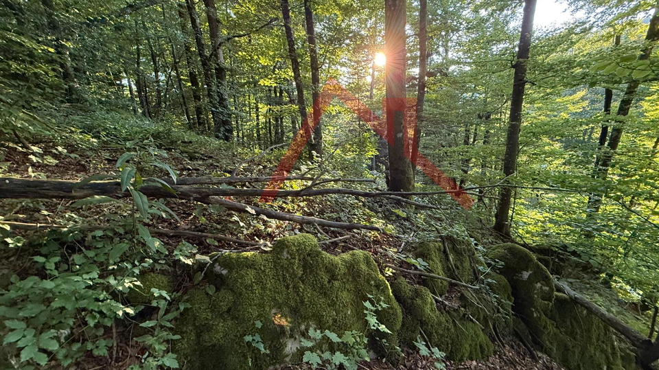 LOKVE - Građevinsko zemljište, 3072 m2