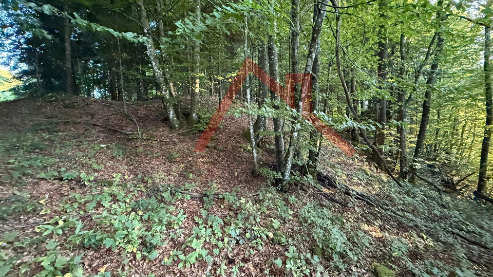 LOKVE - Građevinsko zemljište, 3072 m2
