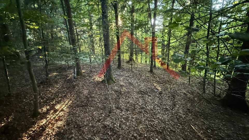 LOKVE - Građevinsko zemljište, 3072 m2