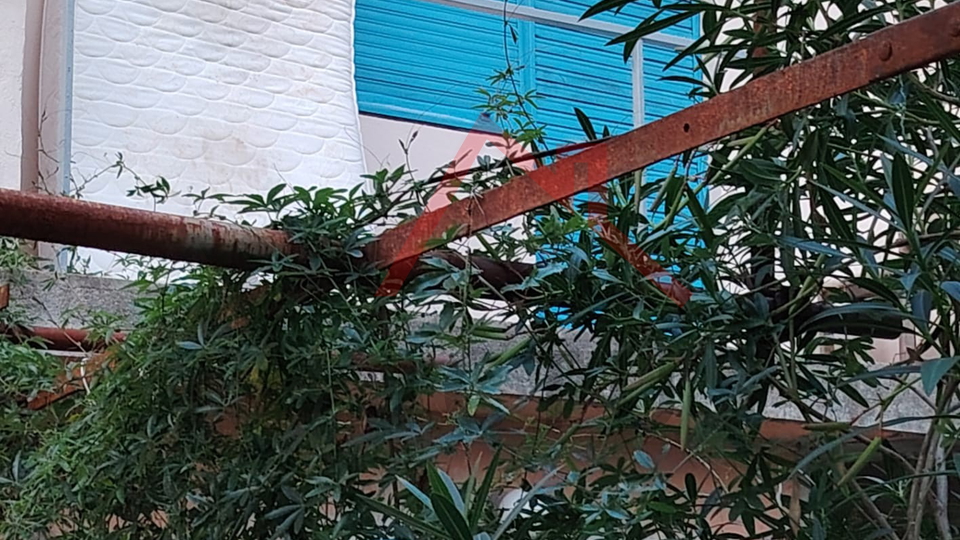 GRIŽANE - Dvije kuće i pomoćni objekt