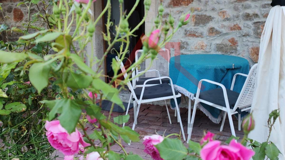 CRIKVENICA - Appartamento con giardino