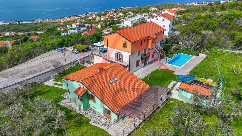 CRIKVENICA - Two houses with a swimming pool and an olive grove