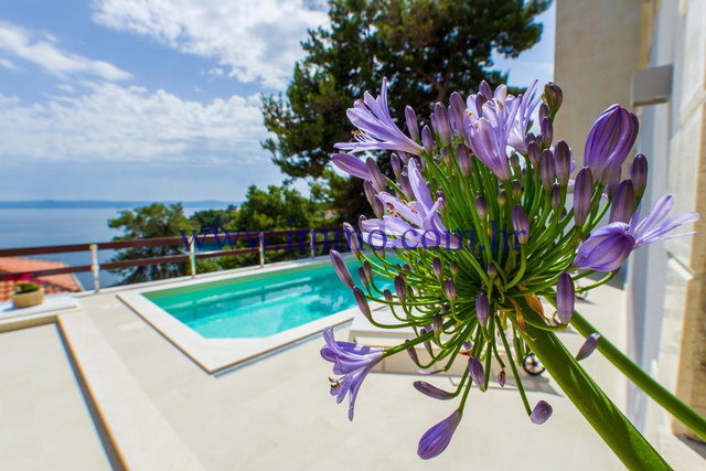 BRAČ ISLAND, VILLA NEAR THE SEA