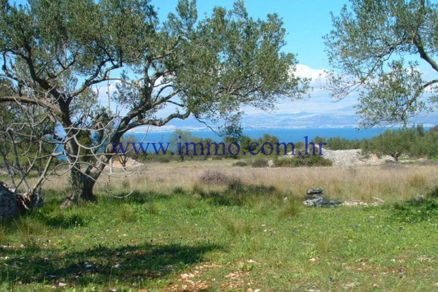 AGRICULTURAL LAND ON THE ISLAND OF BRAČ