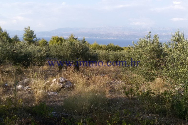 AGRICULTURAL LAND ON THE ISLAND OF BRAČ