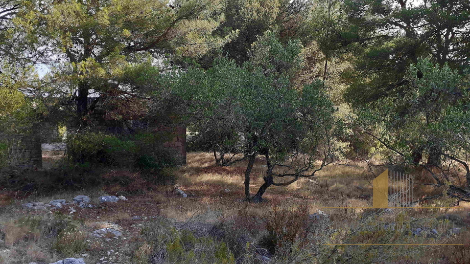 Terreno, 2644 m2, Vendita, Šolta - Grohote