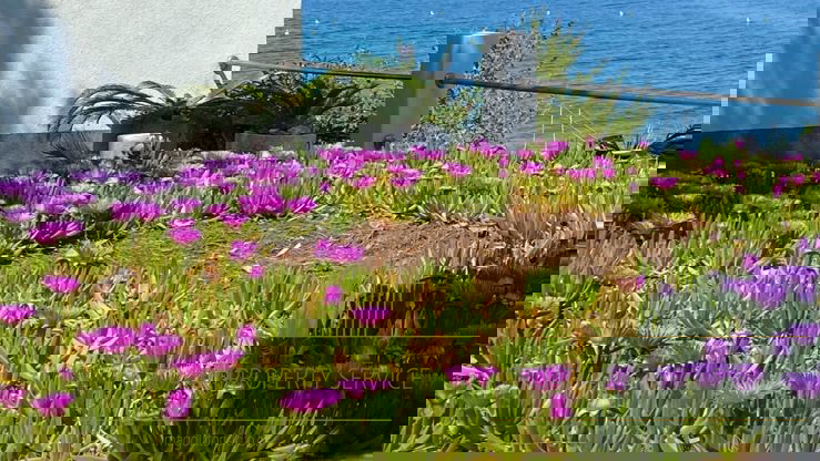 Wunderschönes Haus an fantastischer Lage, erste Meereslinie auf der Insel Brač!