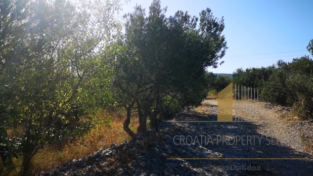 Building land of 2050m2 with a project for 3 villas - Milna, island of Brac!