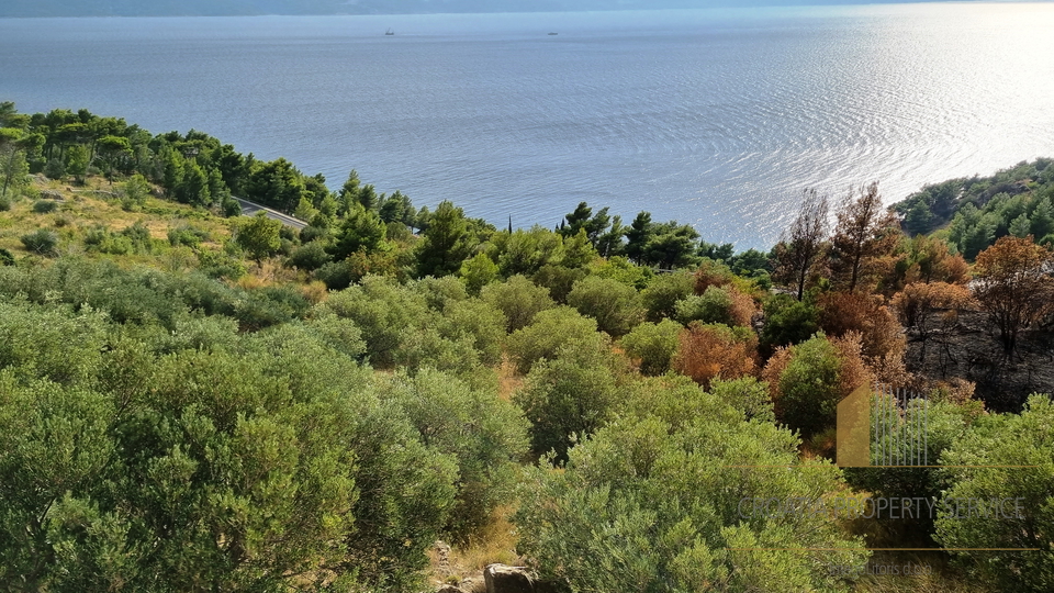 Building plot of 4300m2 with open sea view - Stanići!