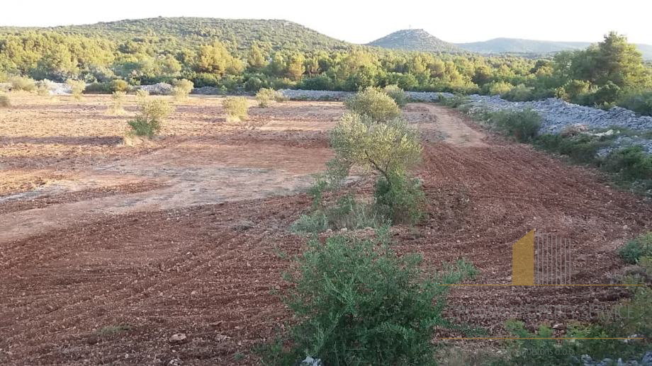 Erschwingliches landwirtschaftliches Land mit der Möglichkeit der Bebauung - Vodice!