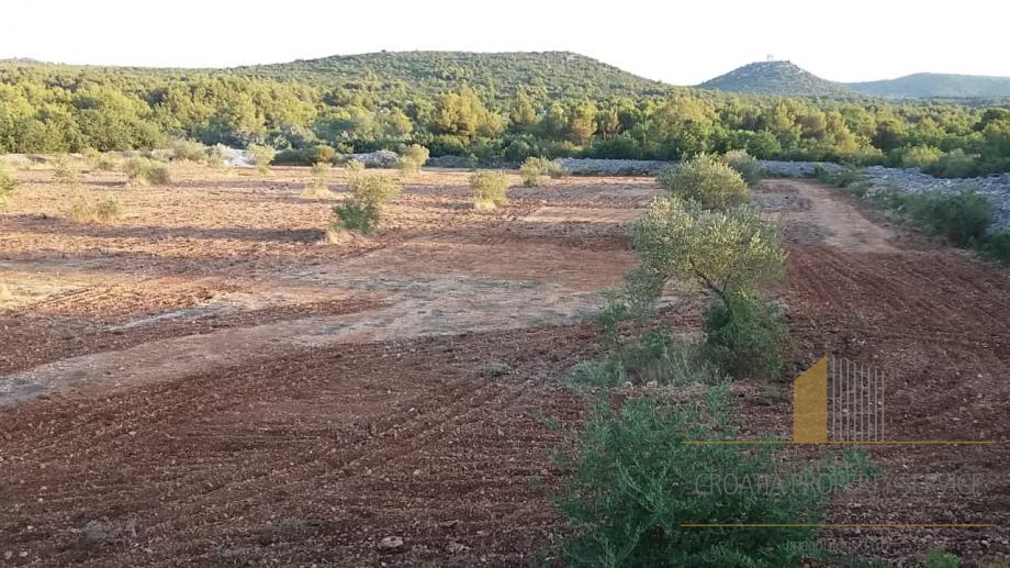 Erschwingliches landwirtschaftliches Land mit der Möglichkeit der Bebauung - Vodice!