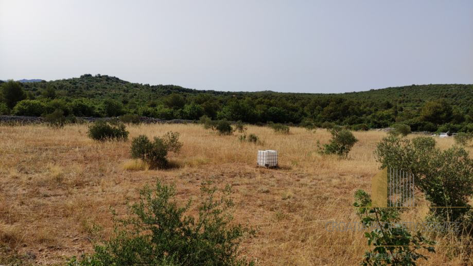 Erschwingliches landwirtschaftliches Land mit der Möglichkeit der Bebauung - Vodice!