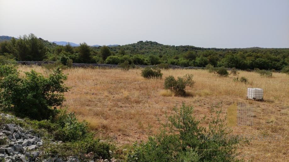 Erschwingliches landwirtschaftliches Land mit der Möglichkeit der Bebauung - Vodice!