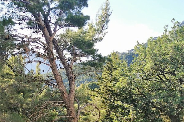 Terreno edificabile attraente in seconda fila al mare a Brela!