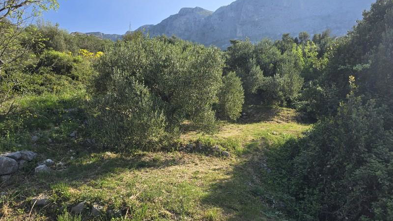 Verkauf&excl; Grundst&uuml;ck mit Meerblick in Podgora&excl;