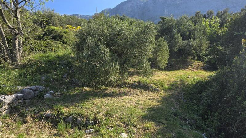 Verkauf&excl; Grundst&uuml;ck mit Meerblick in Podgora&excl;