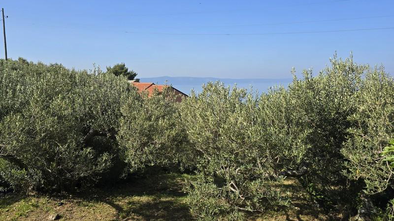 Verkauf&excl; Grundst&uuml;ck mit Meerblick in Podgora&excl;