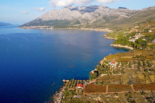 Casa in pietra da ristrutturare su terreno di 9500 m2 a Pelješac!
