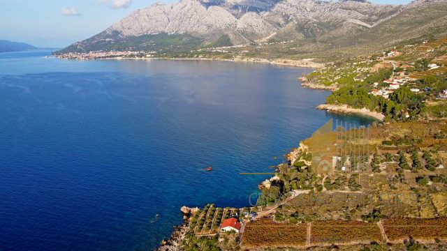 Steinhaus zur Anpassung auf einem Grundstück von 9500 m2 in Pelješac!