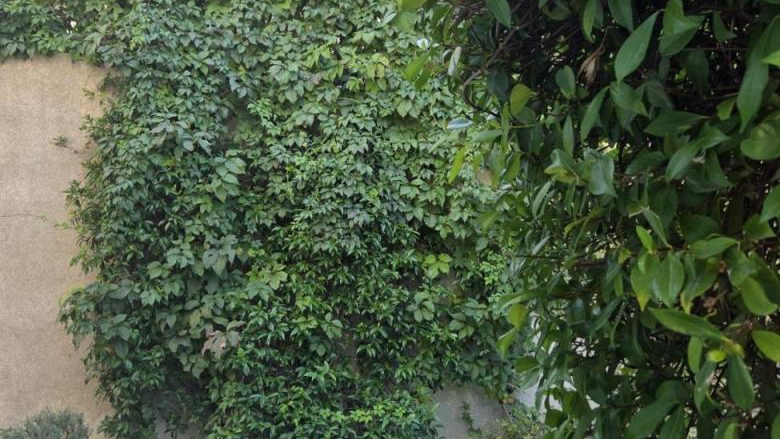 Sale&comma; apartment with sea view in Pu&ccaron;i&scaron;&cacute;a on the island of Bra&ccaron;&excl;