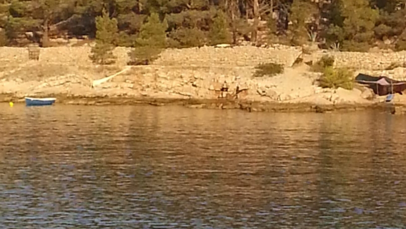 Milna&comma; Bra&ccaron; &ndash; house 49&period;20 m&sup2; in the first row by the sea&comma; plot 2&comma;040 m&sup2;&excl;