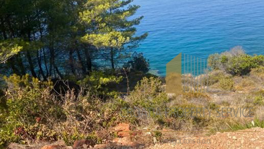 Agricultural land, first row by the sea on the island of Hvar!