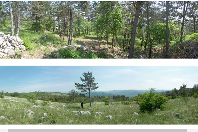 Baugrundstücke mit einer Fläche von 3 ha – Zentrales Istrien!