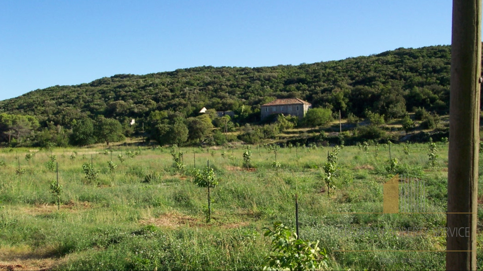 Zemljišče velikosti 30.000 m2 s tremi starimi hišami za obnovo v okolici Dubrovnika!