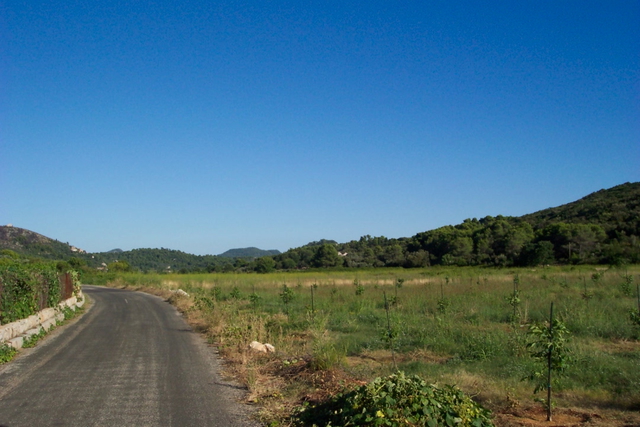 Land of 45,500 m2 with an olive grove near Dubrovnik!