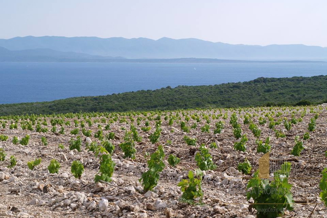 Land, 17000 m2, For Sale, Hvar