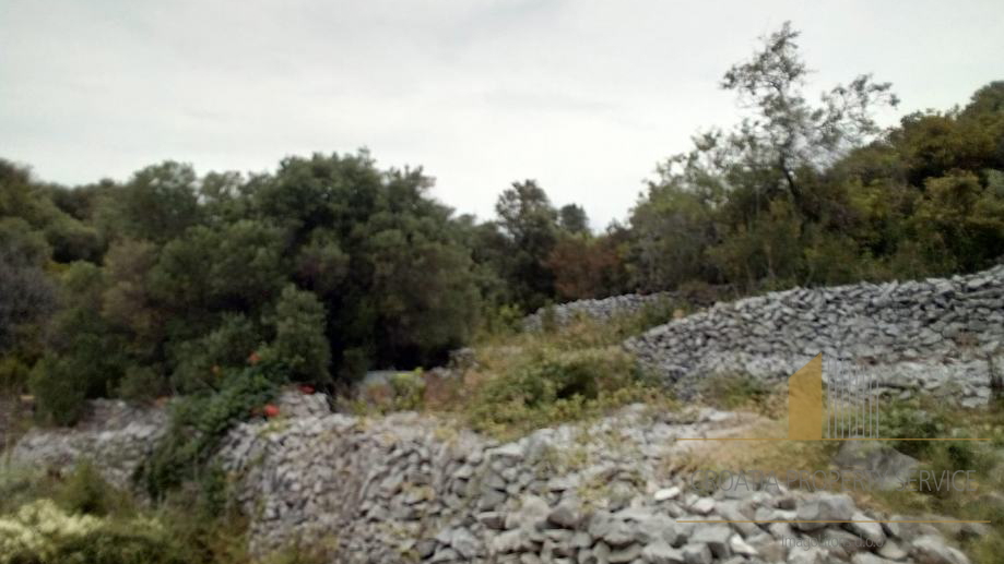 Building land with two houses only 40 m from the sea - Korčula!