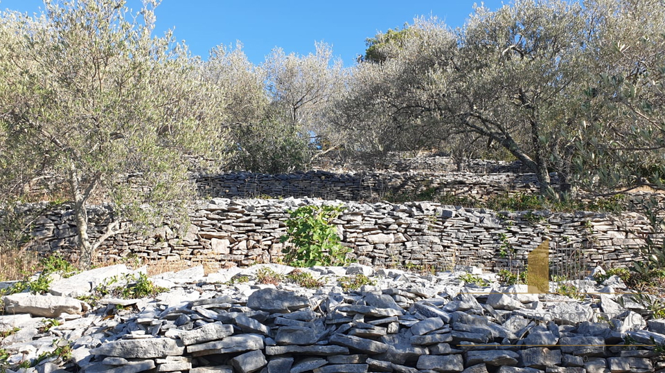 Izjemno zemljišče 1. vrsta ob morju z neskončnim potencialom – Vela Luka, Korčula!