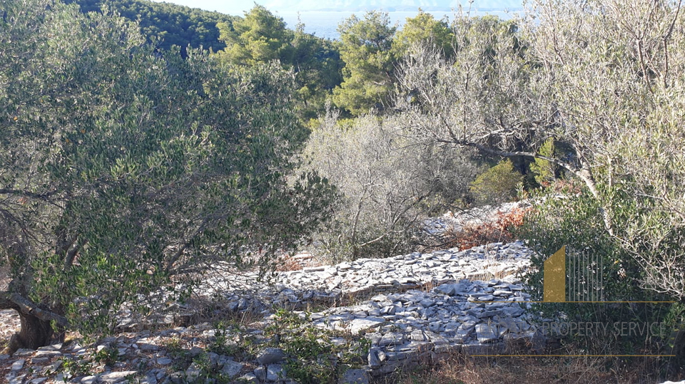 Izjemno zemljišče 1. vrsta ob morju z neskončnim potencialom – Vela Luka, Korčula!